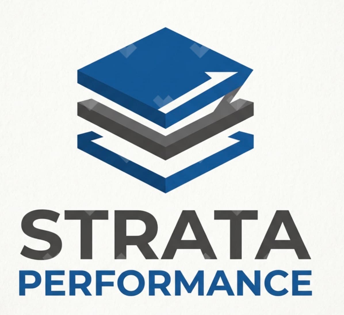Mental performance coaching/mentorship
